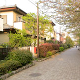 01.jpg