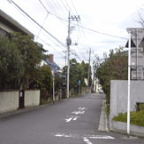 02.jpg